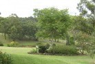 Myocumresidential-landscaping-40.jpg; ?>
